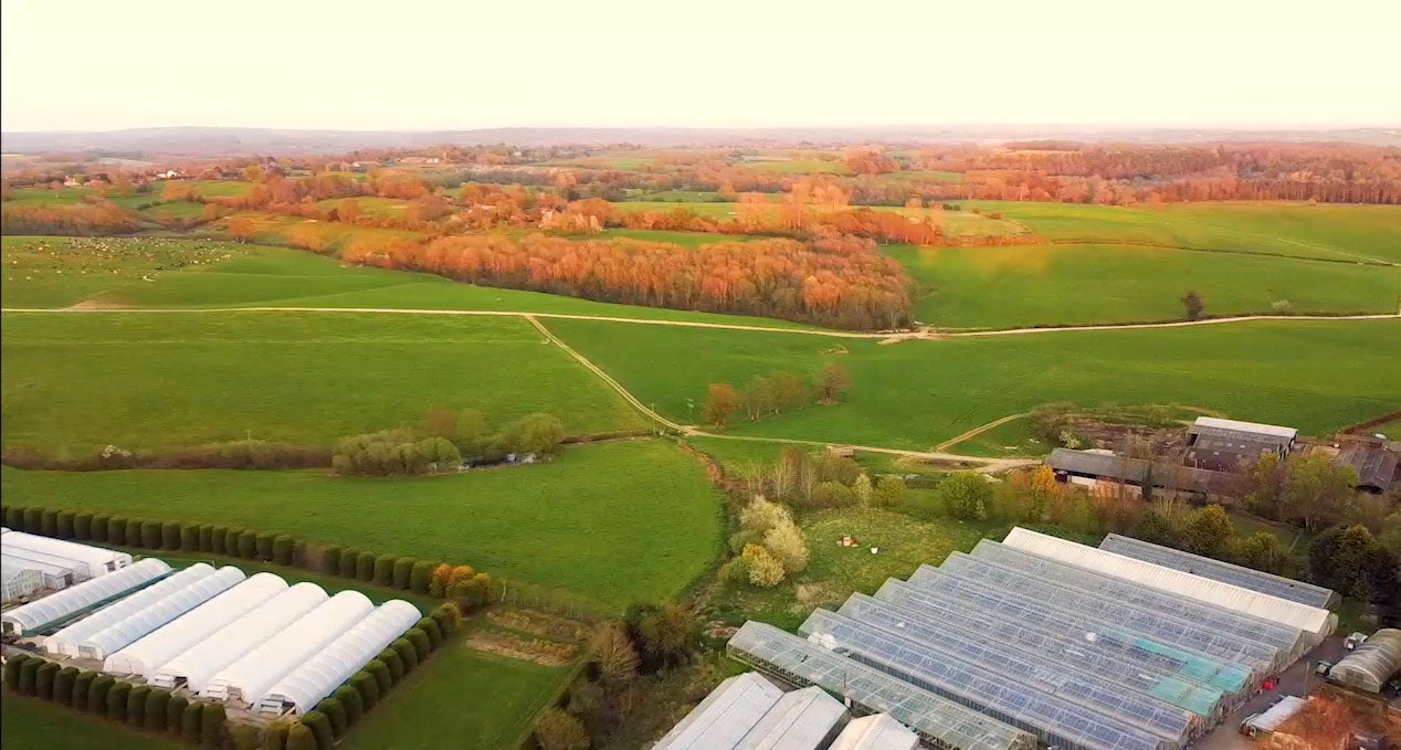 Perfect Plants (Sussex) Ltd aerial view