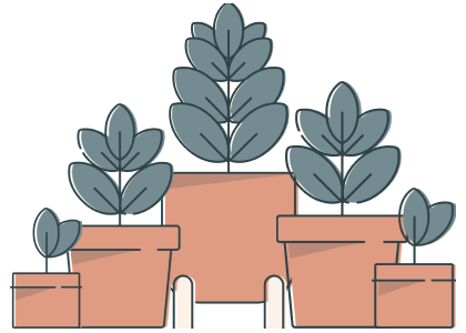 Plant Sizes image