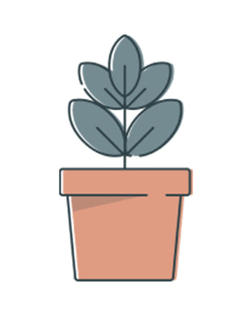 No Decorative Pot
